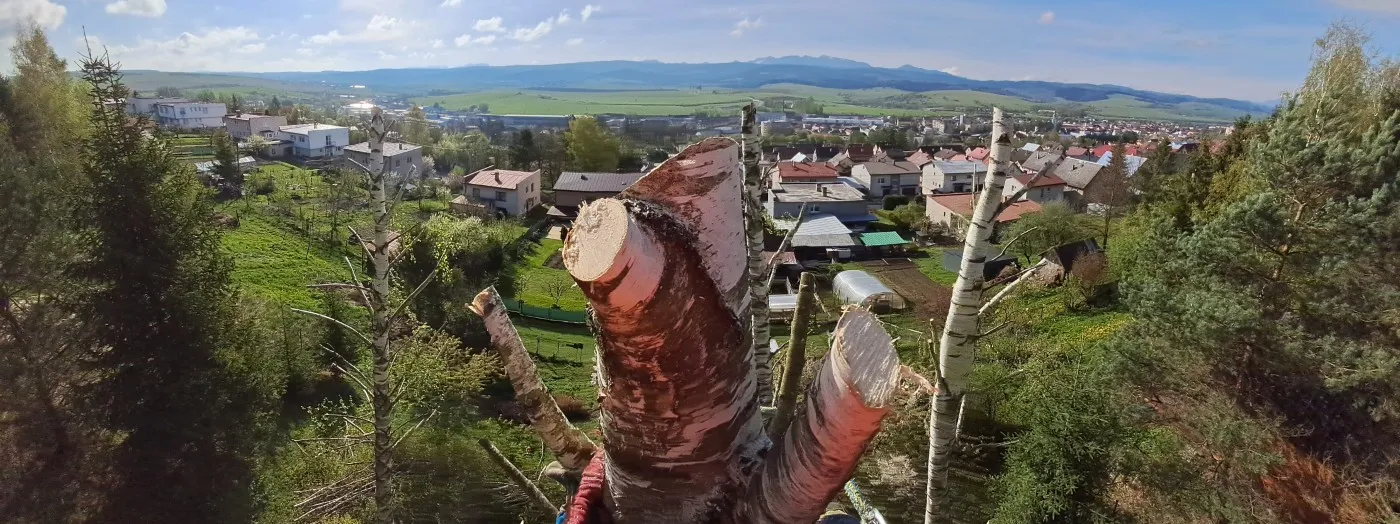 Pílenie stromov v ťažko prístupnom mieste