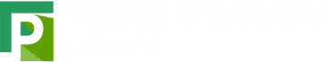 Pílenie stromov Orava